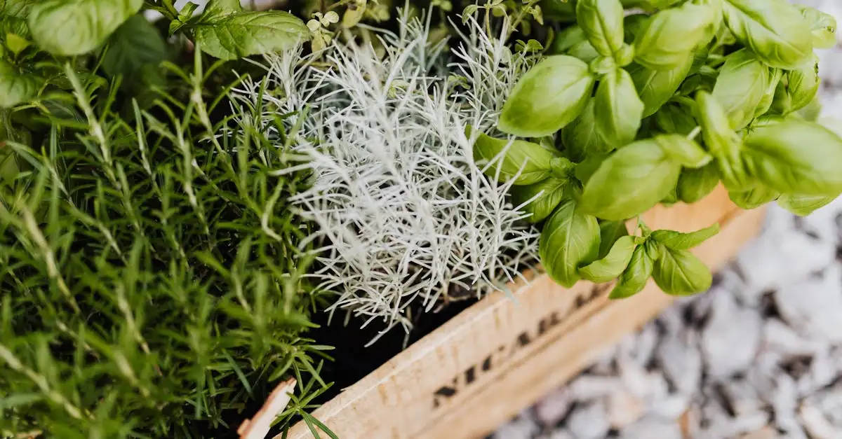 Ecologische tuinmaterialen