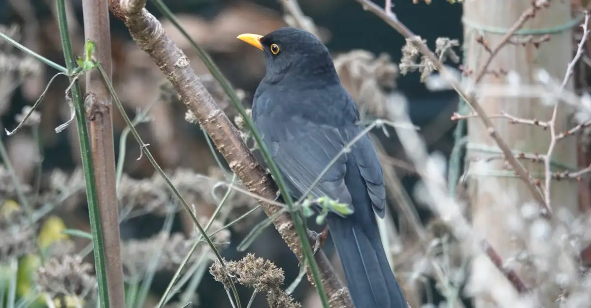 Natuurlijke oplossingen voor mieren in je tuin winnen terrein
