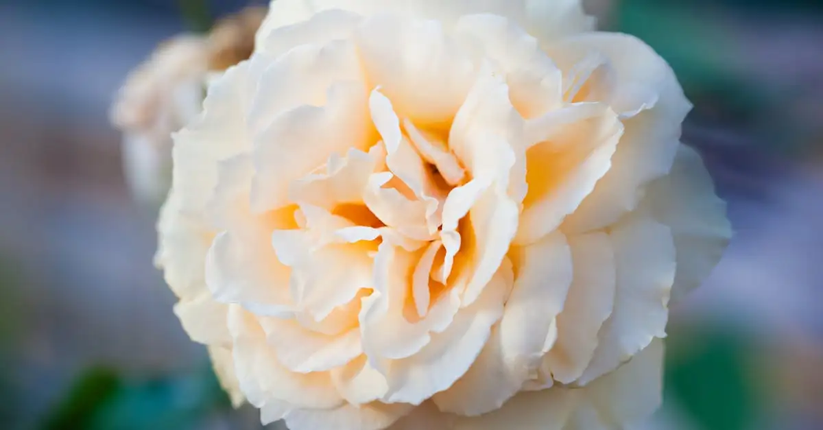 Prachtige tuindecoratie voor elke tuin en seizoen