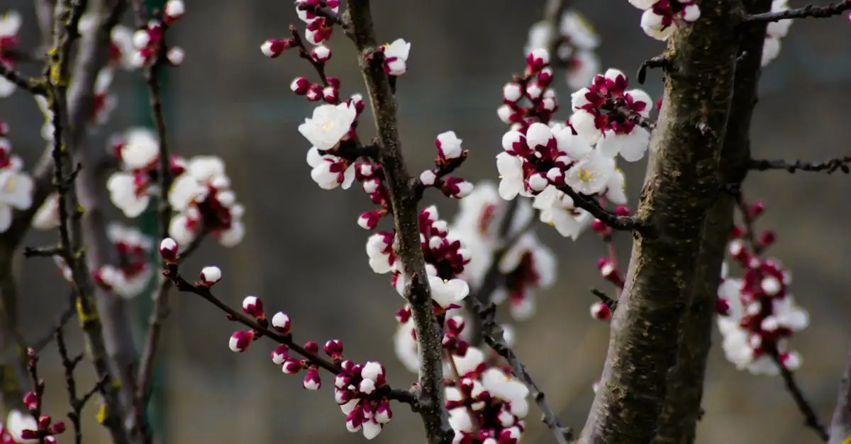 Tuinmanieren maart