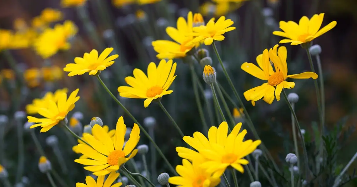 Tuinplanten bezorgen in Volendam | Snelle levering