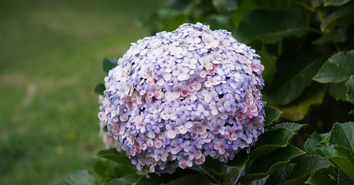 Tuinplanten gratis bezorgd door de specialist