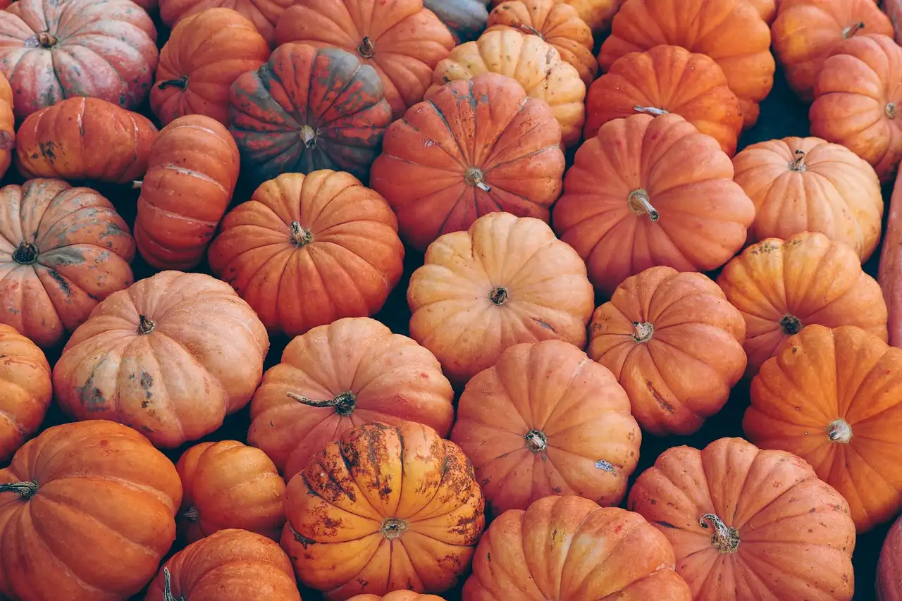Tuinplant van de maand oktober 2014