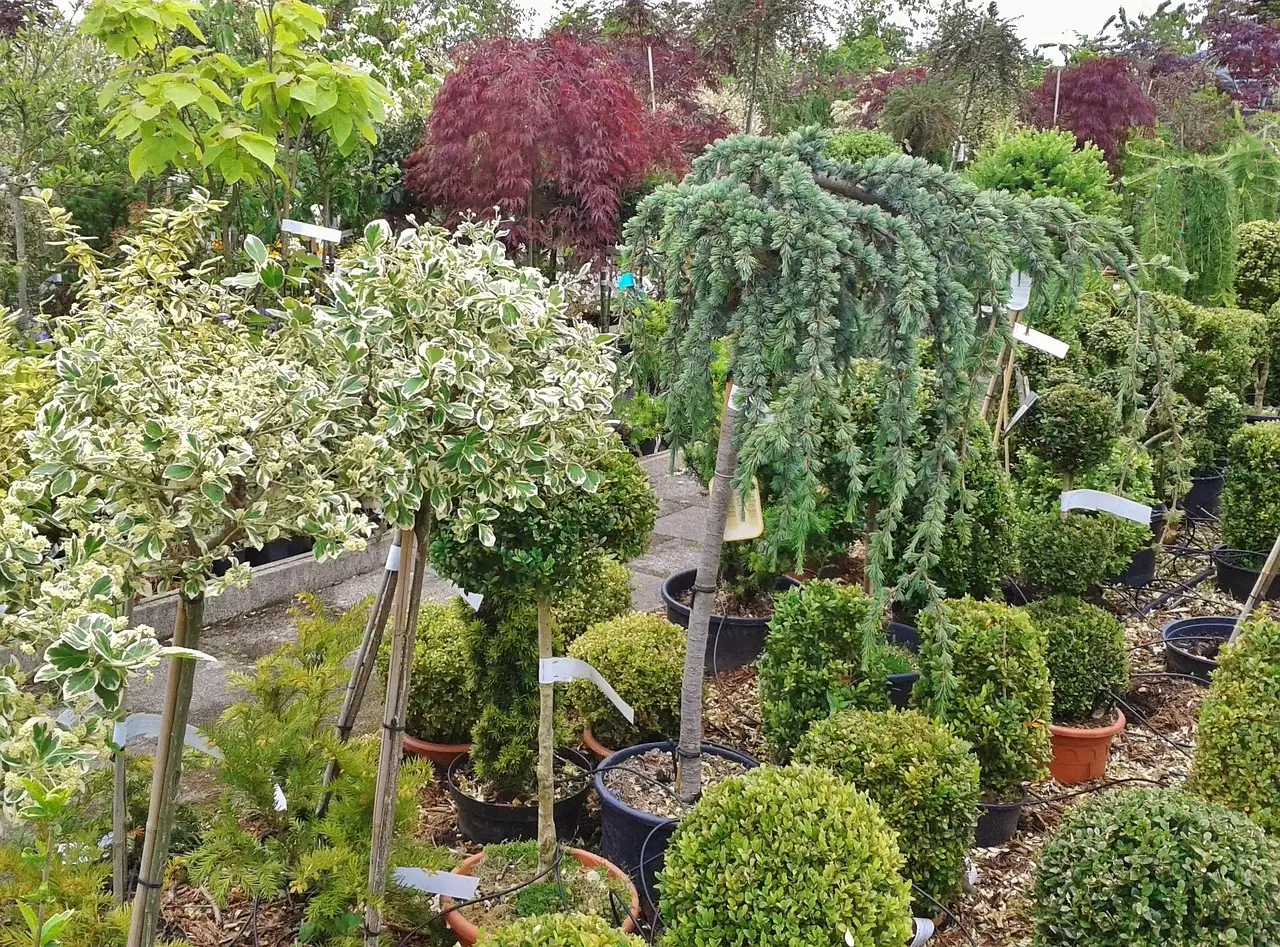 De beste tuinplanten kwekerij in Panningen vindt u hier.