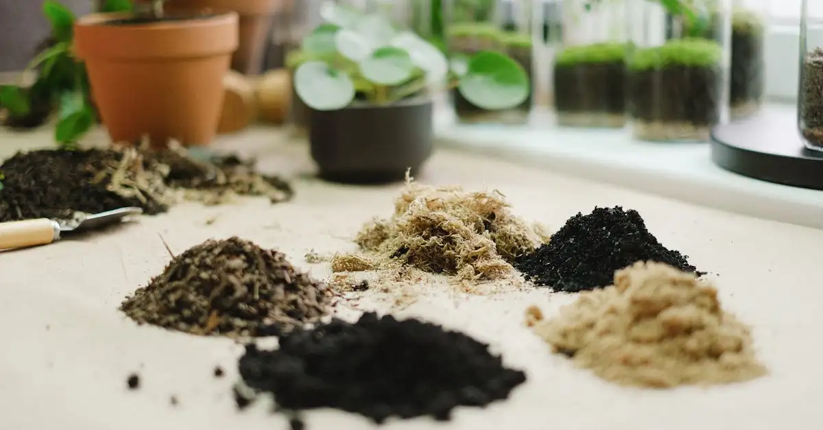 Tips voor in de tuin