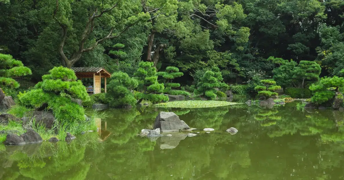 Japanse tuinplant