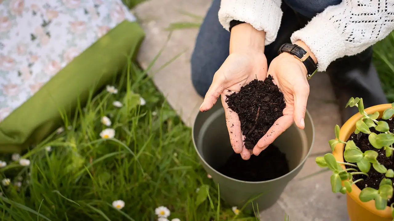 Natuurlijke tuin advies