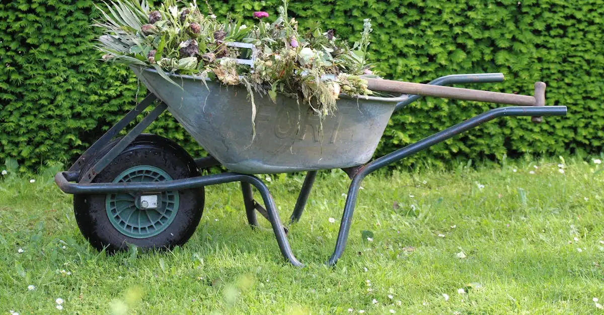 Tips tuin