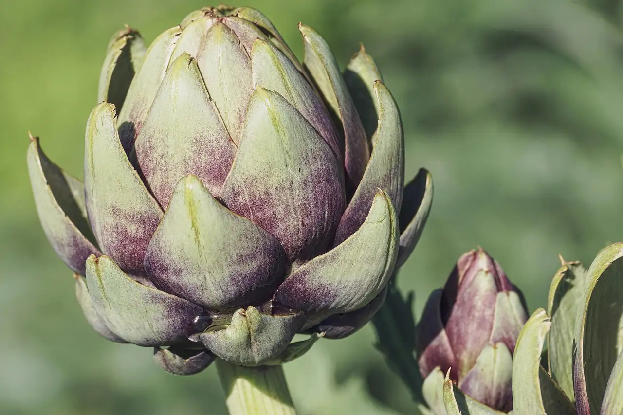 Voordelen biologisch tuinieren