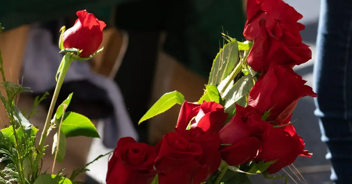 Tuinplant brandende liefde kopen | Verzorging en soorten