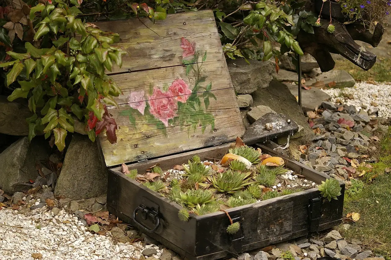 Tuinplant die weinig water nodig heeft