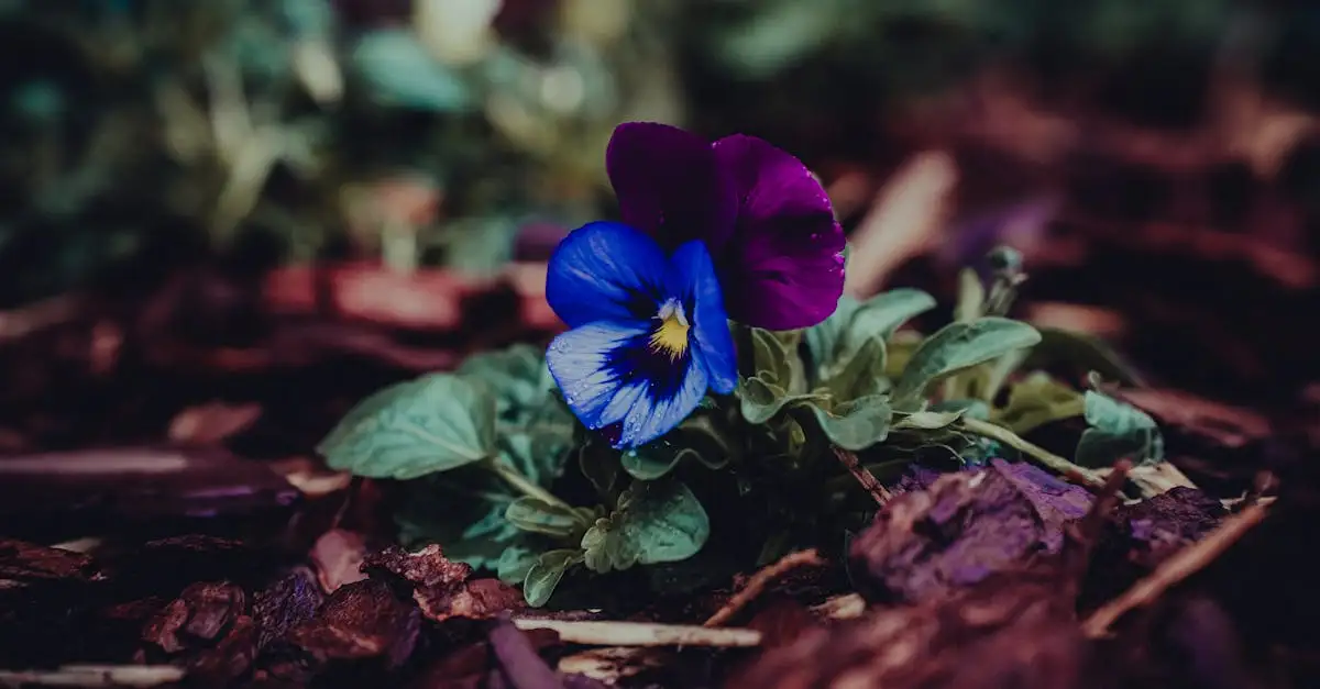 Tuinplant met kelken