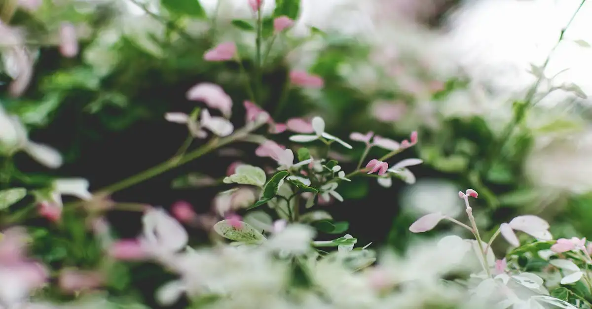 Tuinplanten met roze bloemen: mooie combinaties