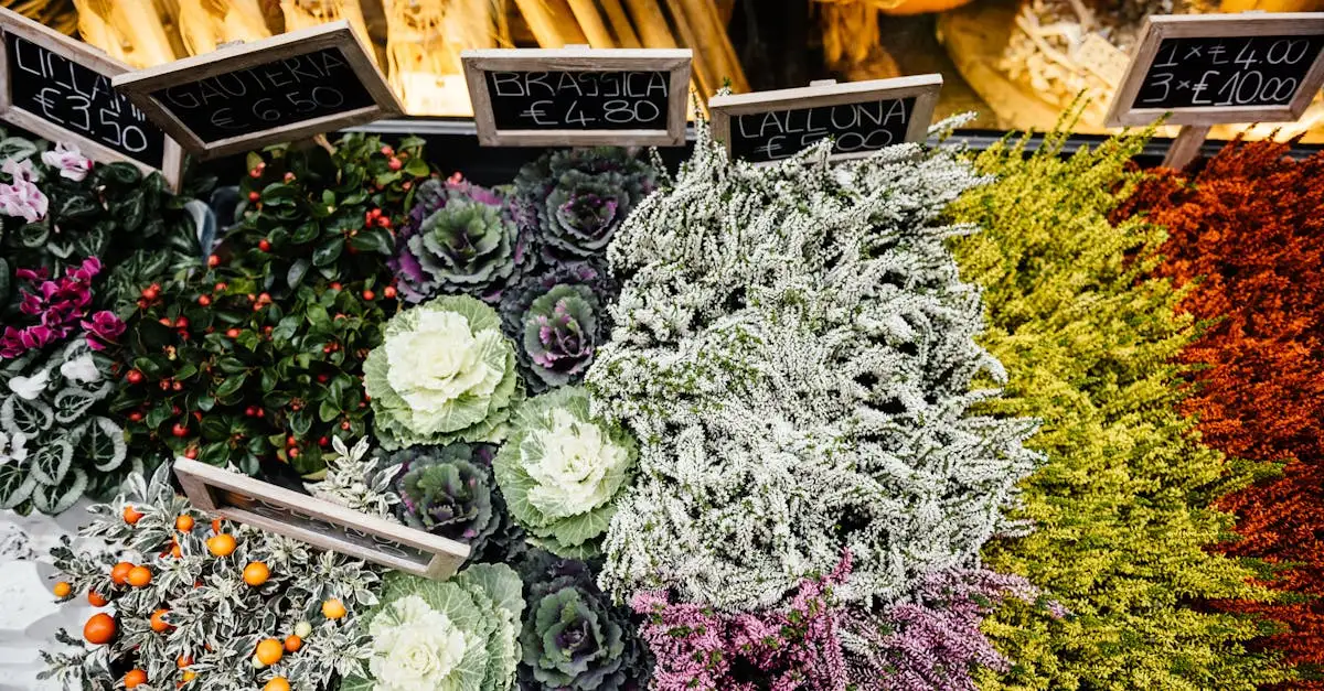 Tuinplanten voor 9 juli: Ontdek ons actuele aanbod