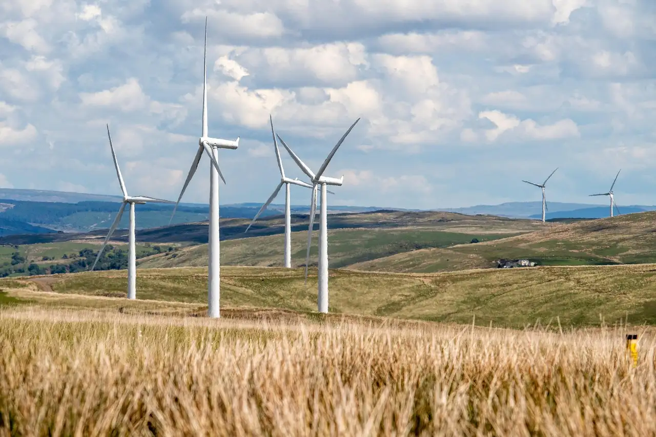Stijlvolle tuindecoratie: windturbines voor uw tuin