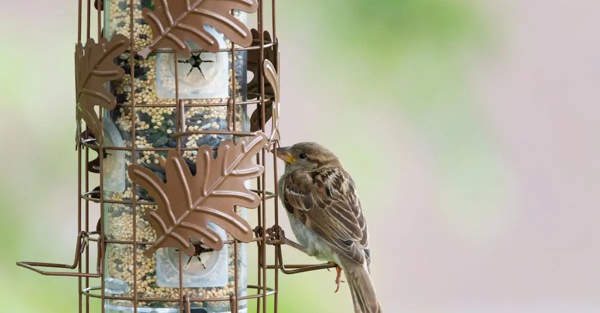 Tuindecoratie eekhoorn kopen voor een sfeervolle tuin