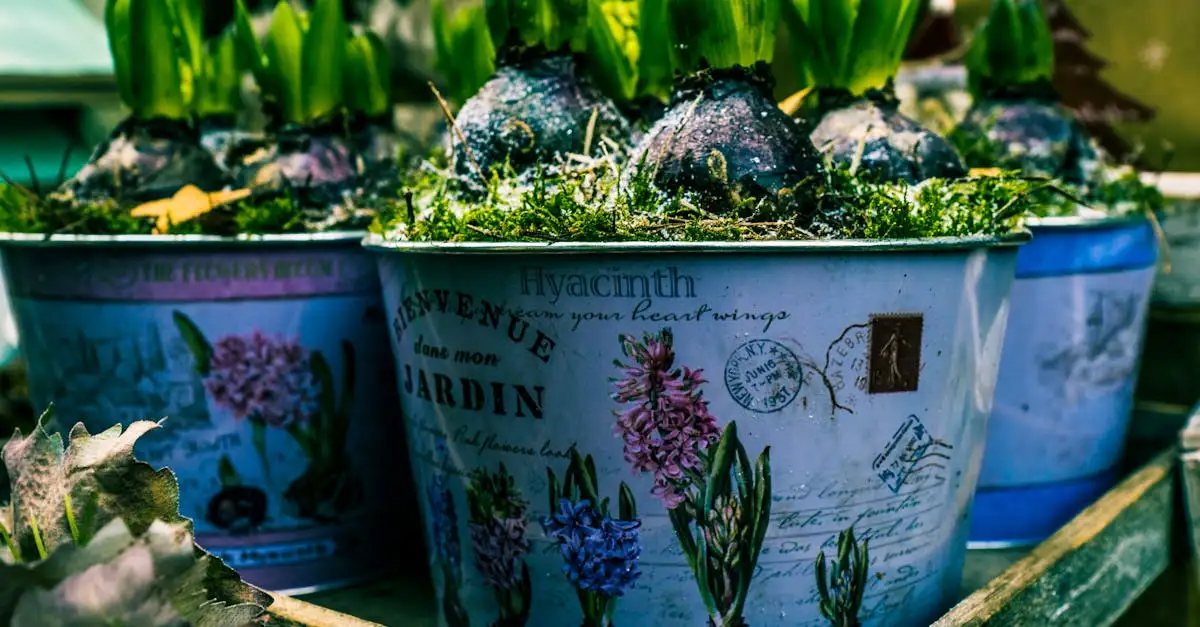 Tuindecoratie kopen bij bol.com | Groot assortiment