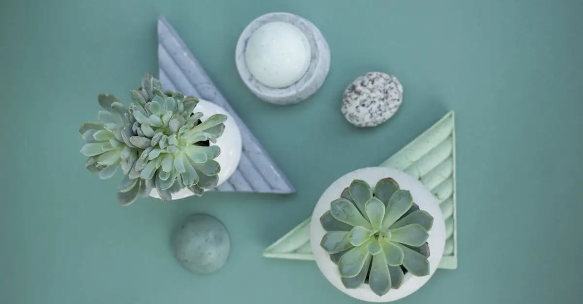 Tuindecoratie webshop: Sfeervolle accessoires voor uw tuin